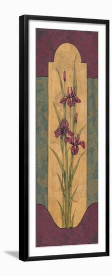 Greek Iris I-Paul Brent-Framed Premium Giclee Print