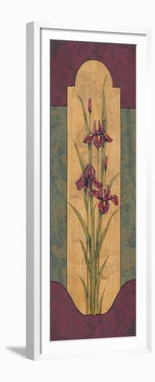 Greek Iris I-Paul Brent-Framed Premium Giclee Print