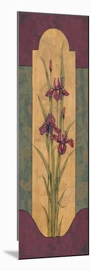 Greek Iris I-Paul Brent-Mounted Premium Giclee Print