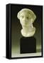 Greek Marble Head of a Woman, Tarentine, circa 4th-3rd Century BC-null-Framed Stretched Canvas
