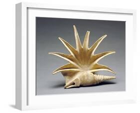 Greek Offering Vessel in the Shape of a Seashell,-null-Framed Photographic Print