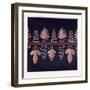 Greek Ornament and Etruscan Ornament-null-Framed Giclee Print