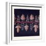 Greek Ornament and Etruscan Ornament-null-Framed Giclee Print