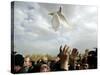 Greek Orthodox Priest Releases a Dove During a Traditional Ceremony at Jordan River Baptismal Site-null-Stretched Canvas