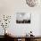 Greek Orthodox Priest Releases a Dove During a Traditional Ceremony at Jordan River Baptismal Site-null-Photographic Print displayed on a wall