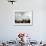 Greek Orthodox Priest Releases a Dove During a Traditional Ceremony at Jordan River Baptismal Site-null-Framed Photographic Print displayed on a wall