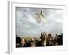 Greek Orthodox Priest Releases a Dove During a Traditional Ceremony at Jordan River Baptismal Site-null-Framed Photographic Print