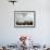 Greek Orthodox Priest Releases a Dove During a Traditional Ceremony at Jordan River Baptismal Site-null-Framed Photographic Print displayed on a wall