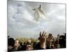 Greek Orthodox Priest Releases a Dove During a Traditional Ceremony at Jordan River Baptismal Site-null-Mounted Photographic Print