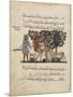 Greek Physician Erasistratos with an Assistant, 1224-null-Mounted Premium Giclee Print