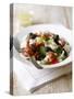 Greek Salad-Sam Stowell-Stretched Canvas