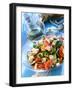 Greek Salad-Dorota & Bogdan Bialy-Framed Photographic Print
