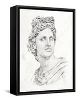 Greek Statue II-Annie Warren-Framed Stretched Canvas