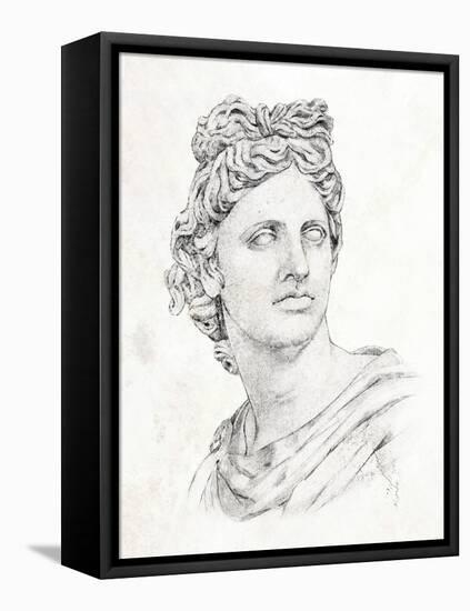 Greek Statue II-Annie Warren-Framed Stretched Canvas