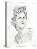 Greek Statue II-Annie Warren-Stretched Canvas