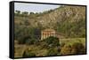 Greek Temple in the Ancient City of Segesta, Sicily-perszing1982-Framed Stretched Canvas