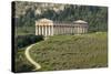 Greek Temple, Segesta, Trapani District, Sicily, Italy, Europe-Bruno Morandi-Stretched Canvas