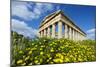 Greek Temple, Segesta, Trapani District, Sicily, Italy, Europe-Bruno Morandi-Mounted Photographic Print