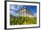 Greek Temple, Segesta, Trapani District, Sicily, Italy, Europe-Bruno Morandi-Framed Photographic Print