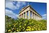 Greek Temple, Segesta, Trapani District, Sicily, Italy, Europe-Bruno Morandi-Mounted Photographic Print