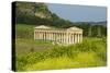 Greek Temple, Segesta, Trapani District, Sicily, Italy, Europe-Bruno Morandi-Stretched Canvas