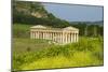 Greek Temple, Segesta, Trapani District, Sicily, Italy, Europe-Bruno Morandi-Mounted Photographic Print