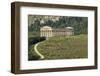 Greek Temple, Segesta, Trapani District, Sicily, Italy, Europe-Bruno Morandi-Framed Photographic Print