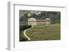 Greek Temple, Segesta, Trapani District, Sicily, Italy, Europe-Bruno Morandi-Framed Photographic Print