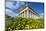 Greek Temple, Segesta, Trapani District, Sicily, Italy, Europe-Bruno Morandi-Mounted Photographic Print