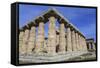 Greek Temples of Hera and Neptune, Campania, Italy-Eleanor Scriven-Framed Stretched Canvas