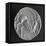 Greek Tristater Struck in Carthage in 260 BC, Depicting Pegaso, Recto, Electrum Coins-null-Framed Stretched Canvas