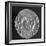 Greek Tristater Struck in Carthage in 260 BC, Depicting Pegaso, Recto, Electrum Coins-null-Framed Giclee Print