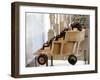 Greek War Chariot, 5th Century-3rd Century Bc-null-Framed Photographic Print