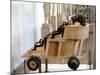 Greek War Chariot, 5th Century-3rd Century Bc-null-Mounted Photographic Print