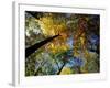 Greeley Ponds Trail, Northern Hardwood Forest, New Hampshire, USA-Jerry & Marcy Monkman-Framed Photographic Print