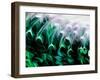 Green Abstract, 2021, (digital)-Scott J. Davis-Framed Giclee Print