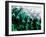 Green Abstract, 2021, (digital)-Scott J. Davis-Framed Giclee Print