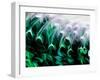 Green Abstract, 2021, (digital)-Scott J. Davis-Framed Giclee Print