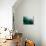 Green Abstract, 2021, (digital)-Scott J. Davis-Mounted Giclee Print displayed on a wall