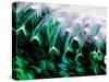 Green Abstract, 2021, (digital)-Scott J. Davis-Stretched Canvas