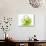 Green Abstract Brush Splash Flower-Irena Orlov-Premium Giclee Print displayed on a wall