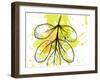 Green Abstract Brush Splash Leaves-Irena Orlov-Framed Art Print