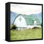 Green Acres-Kimberly Allen-Framed Stretched Canvas