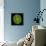 Green Alga, Light Micrograph-Gerd Guenther-Framed Stretched Canvas displayed on a wall