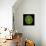 Green Alga, Light Micrograph-Gerd Guenther-Framed Stretched Canvas displayed on a wall