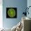 Green Alga, Light Micrograph-Gerd Guenther-Stretched Canvas displayed on a wall