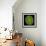 Green Alga, Light Micrograph-Gerd Guenther-Framed Premium Photographic Print displayed on a wall