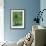 Green Allium-Stacy Bass-Framed Giclee Print displayed on a wall