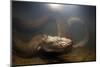Green Anaconda (Eunectes Murinus) Underwater, Flicking Tongue, Formoso River-Franco Banfi-Mounted Photographic Print
