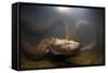 Green Anaconda (Eunectes Murinus) Underwater, Flicking Tongue, Formoso River-Franco Banfi-Framed Stretched Canvas